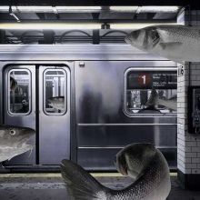 subway-fishlr